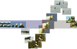 Fluid Control and Annotation of Video